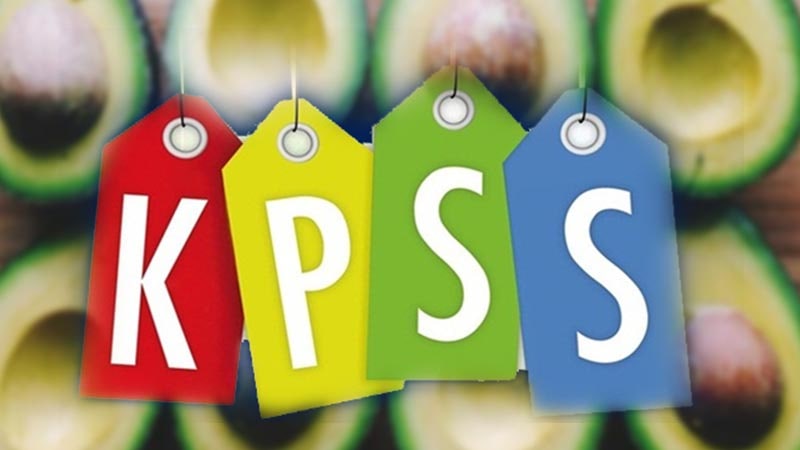 kamu-personeli-secme-sinavi-kpss